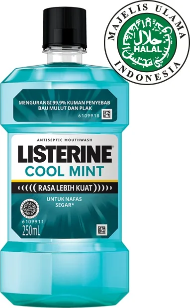 Listerine Cool Mint, 24 × 250 ml
